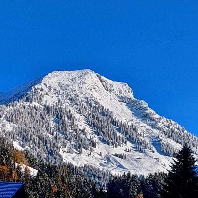 Haus Ortner Daire Russbach am Pass Gschütt Dış mekan fotoğraf