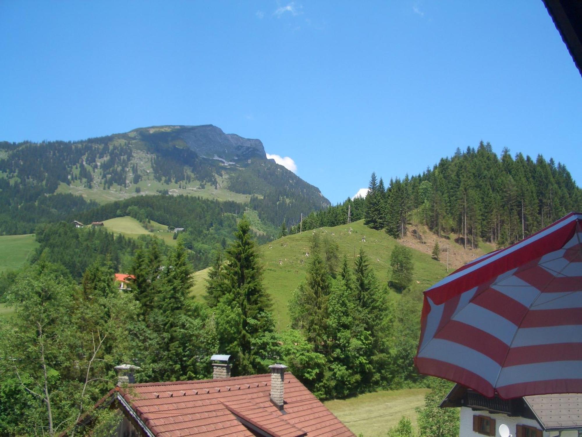 Haus Ortner Daire Russbach am Pass Gschütt Dış mekan fotoğraf