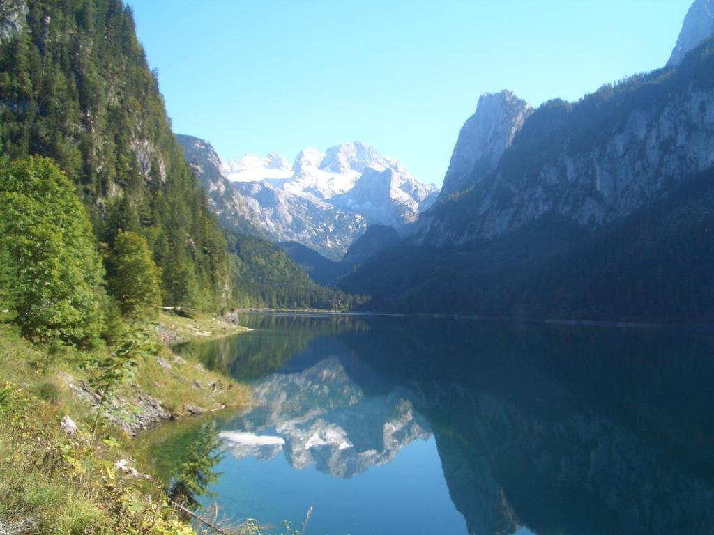 Haus Ortner Daire Russbach am Pass Gschütt Dış mekan fotoğraf