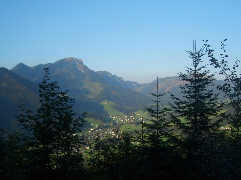 Haus Ortner Daire Russbach am Pass Gschütt Dış mekan fotoğraf