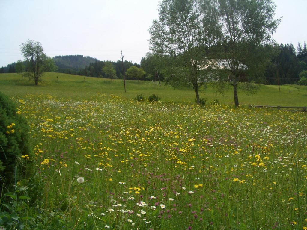 Haus Ortner Daire Russbach am Pass Gschütt Dış mekan fotoğraf