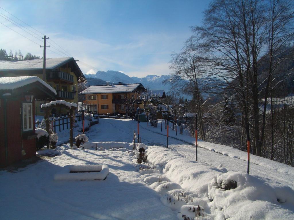 Haus Ortner Daire Russbach am Pass Gschütt Dış mekan fotoğraf