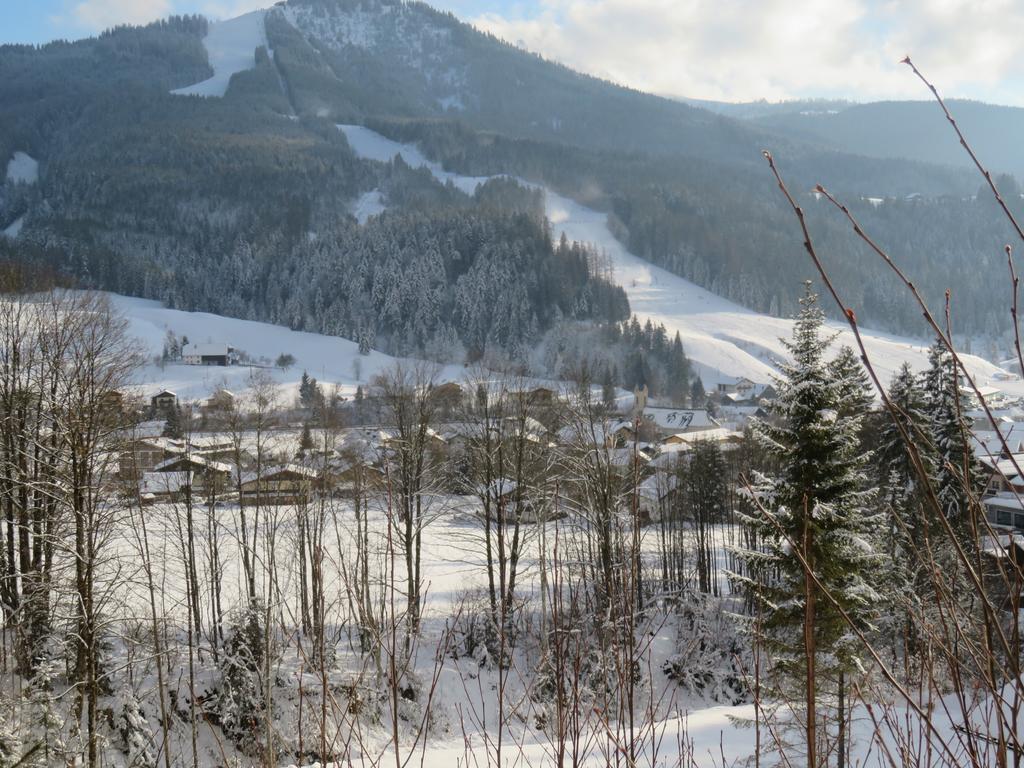 Haus Ortner Daire Russbach am Pass Gschütt Dış mekan fotoğraf