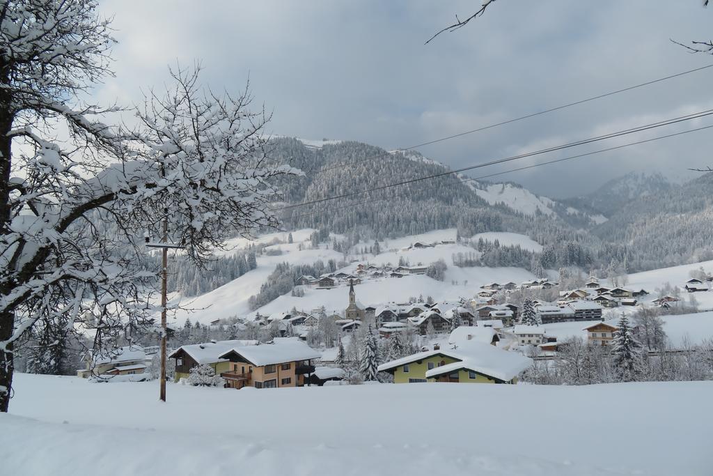 Haus Ortner Daire Russbach am Pass Gschütt Dış mekan fotoğraf