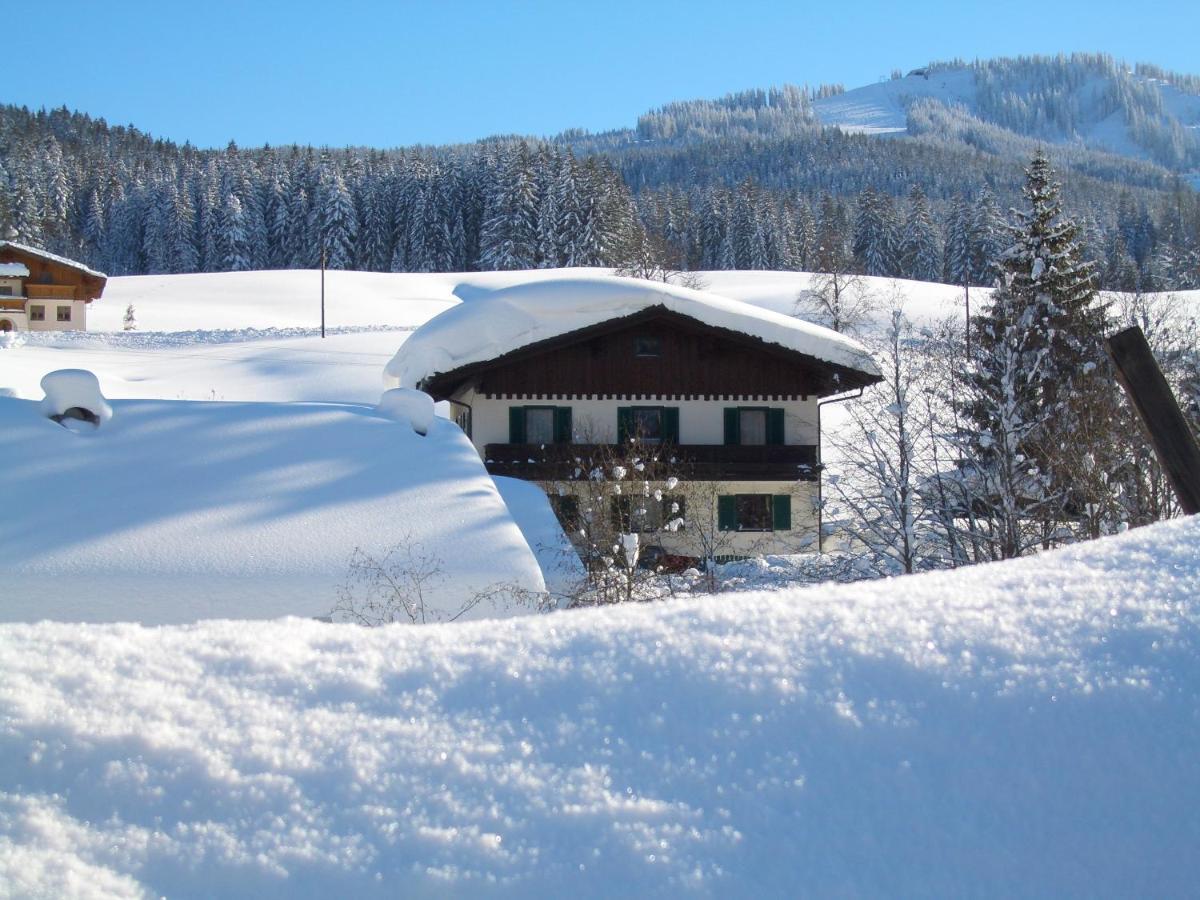 Haus Ortner Daire Russbach am Pass Gschütt Dış mekan fotoğraf